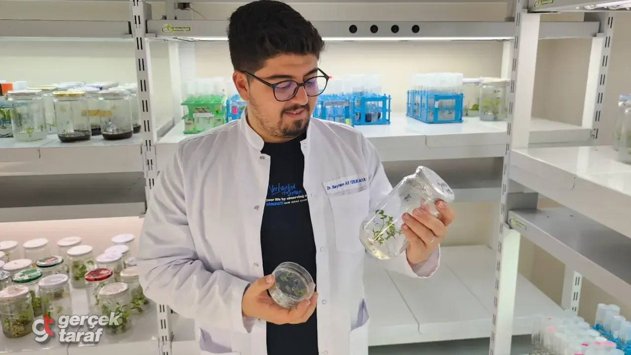 CRISPR’lı Domates Projesine TÜBİTAK Desteği!