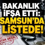 Gıdada Hile Yapanlar Açıklandı! Samsun'da Listeye Girdi