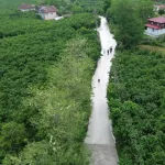 Samsun Salıpazarı’nda Yol Seferberliği