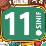11. Sınıfta Hangi Derslere Ağırlık Verilmeli?