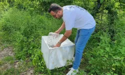 Samsun’da 1 Milyonun Üzerinde Samuray Arısı Doğaya Salındı