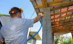 Samsun Büyükşehir’den Kahverengi Kokarcaya Karşı Kışlık Mücadele