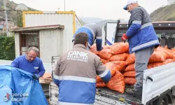 Samsun Canik’te Bedava Kömür ve Odun Dağıtılıyor