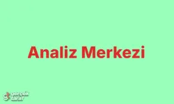 Nitel Verilerin Şifrelerini Çözün: MAXQDA Analizi ile Derinlemesine İnceleme