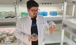 CRISPR’lı Domates Projesine TÜBİTAK Desteği!