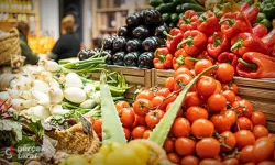 Yeni Hal Yasası Geliyor: Sebze ve Meyve Fiyatları Düşecek Mi?