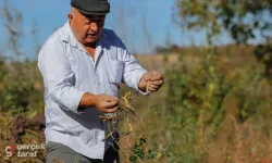 Samsun’da hem üretici kazandı hem ihtiyaç sahipleri doydu!