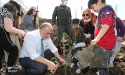 Canik’te Yeşil Seferberlik: Fidanlar Toprakla Buluştu!