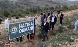 Samsun Çarşambalılar Vakfı’ndan Anlamlı Ağaçlandırma Etkinliği