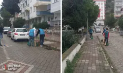 Bu Ekip Fark Yaratıyor: İlkadım'da İyilik Dolu Temizlik Hareketi