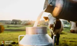Süt Krizi Kapıda! Şap Salgını Sonrası Üretim Çöktü, Fiyatlar Patlayabilir!