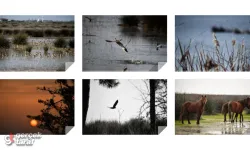 Samsun’da Sonbahar Patlaması! Kızılırmak Deltası Bu Yıl Bambaşka Görünüyor