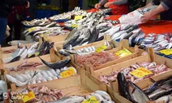 Samsun’da Balık Fiyatları Uçtu