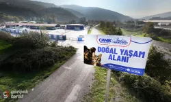 Samsun Canik’te sokak hayvanlarına umut olan merkez büyüyor