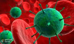 Beyni Saniyeler İçinde Bitiriyor! Tedavisi Olmayan O Virüs İçin Çin'den 'Hazır Olun' Uyarısı!