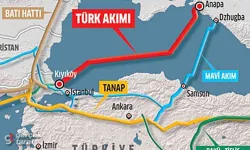 Putin: Batı, TürkAkım ve Mavi Akım'a saldırı planlıyor