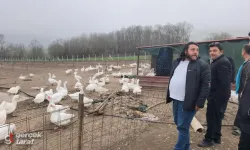 Kavak'ta Kaz Yetiştiricilerine Uygulamalı Eğitim: "Samsun Bu Alanda Marka Olabilir"