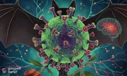 Ölüm Oranı %75'e Varan Nipah Virüsü! İşte Dünyanın Yeni Kabusu