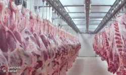 Samsun'da Et Entegre Tesisi Kuruluyor, Et Fiyatları Düşecek