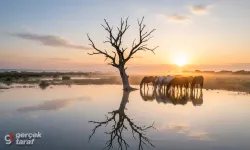 Samsun’un En İyi Fotoğraf Kareleri İçin "Instagramlık" 10 Gizli Nokta