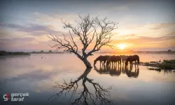 Samsun'da Fotoğraf Çekilecek En Güzel Noktalar