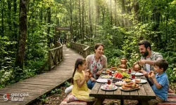 Samsun'da Hafta Sonu Gidilecek En İyi 10 Piknik ve Mesire Alanı
