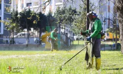 Canik Belediyesi Parkları Yaza Hazırlıyor: Yeni Oyun Alanları Geliyor