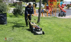 İlkadım'da Parklar ve Yeşil Alanlar İçin Yaz Mesaisi Başladı