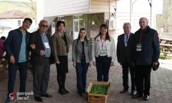 Atakum’da Çiftçiye Can Suyu: 100 Bin Sebze Fidesi Dağıtılıyor