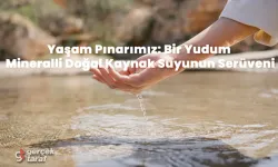 Yaşam Pınarımız: Bir Yudum Mineralli Doğal Kaynak Suyunun Serüveni