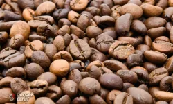 Brezilya Kahvesi Neden Kahve Tutkunlarının Favorisi?