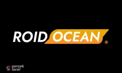 Roidocean vs Roidocean: Why This Platform Stands Out in a Crowded Market