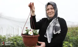 Samsun'da Ev Hanımından Sera Sahibine: Aylık 100 Bin TL Gelir