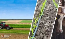 Kırsal Kalkınma Tebliği Resmi Gazete'de Yayımlandı