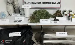 Samsun'da Evde Kenevir Yetiştiren Şahsa Operasyon