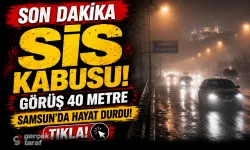 Samsun'da geceyi sis tuttu göz gözü görmedi