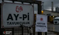 Samsun AY-Pİ Tavukçuluk’a Kayyum: Firma Sahibi Ahmet Aydın Kimdir?