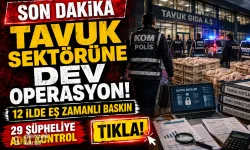 Samsun dahil 12 ilde tavuk fiyatlarında büyük soruşturma!