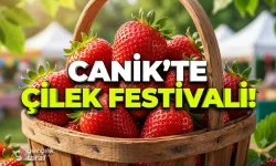 Canik’te Muhtar Ayhan Sekban'dan Davet! Gökçepınar Çilek Festivali 1-2 Ağustos’ta Başlıyor!