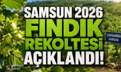 Samsun'da 2026 Yılı Fındık Rekolte Tahmini Belli Oldu!