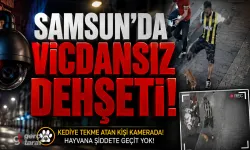 Samsun'da İnsanlık Öldü! Kaldırımdaki Savunmasız Kediye Acımasızca Tekme Atan Cani Kameralarda!