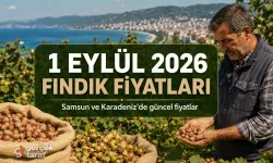 1 Eylül 2026 Salı bugün güncel fındık fiyatları ne kadar?