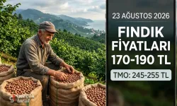 23 Ağustos 2026 pazar güncel fındık fiyatları