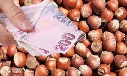 29 Ağustos Cumartesi Samsun fındık fiyatları ne kadar?