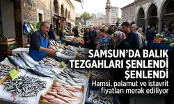 Samsun Balık Fiyatları 2026, Hamsi ve Palamut Kaç TL?