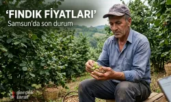 3, 4 Ağustos’ta Samsun’da fındık fiyatları ne kadar oldu?