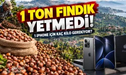 1 Ton Fındık 1 iPhone Etmiyor: Hesap Ortaya Çıktı