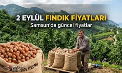 2 Eylül 2026 Çarşamba bugün güncel fındık fiyatları ne kadar?