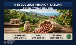 4 Eylül 2026 Cuma Bugün Güncel Fındık Fiyatları Ne Kadar?