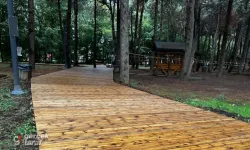Samsun Canik Hasköy Meşe Orman Park'ta Yenileme Sürüyor